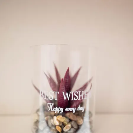 Cozy Boutique Βραχάτι