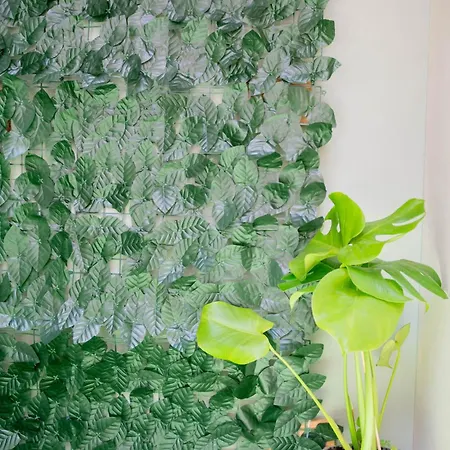 Cozy Boutique * Βραχάτι