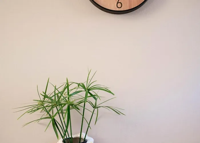 Cozy Boutique Apartamento