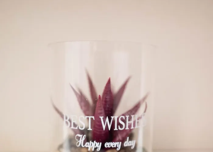 Cozy Boutique Vraháti