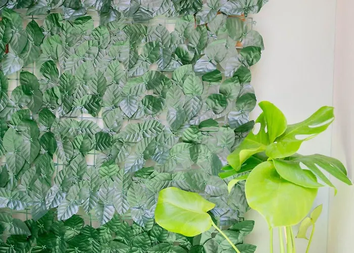 Cozy Boutique * Vraháti